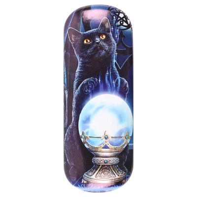Witches Apprentice Glasses case by Lisa Parker