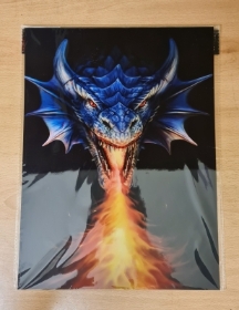 3D Lenticular Dragon Print