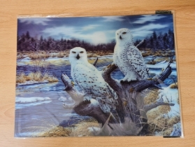 3D Lenticular Owl Print