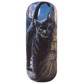 Brush with Magick Glasses case by Lisa Parker