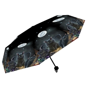 Familiar Black cats Umbrella by Lisa parker